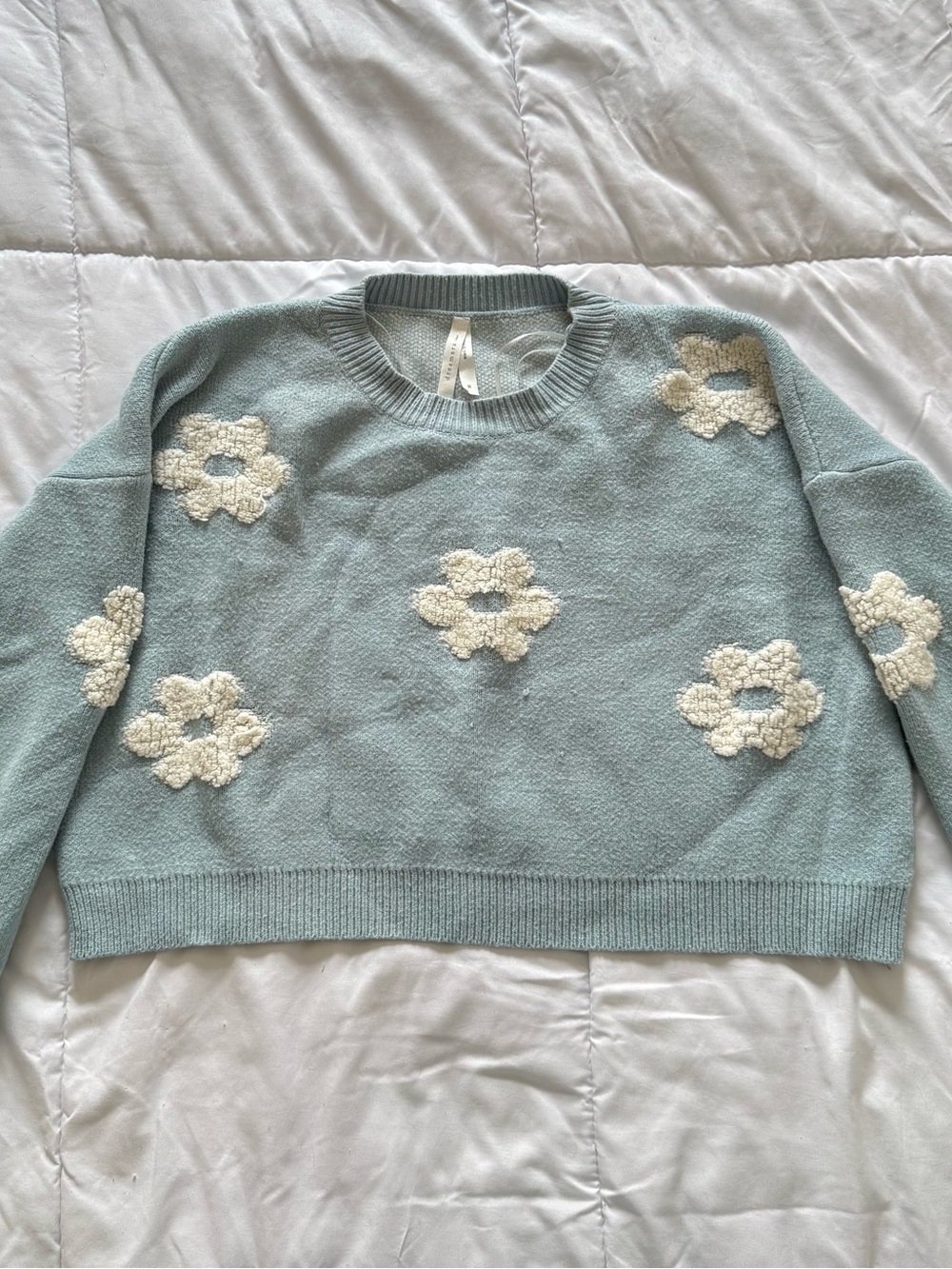 Dreamers Powder Blue Crewneck Sweater with Cream Daisy Appliqués